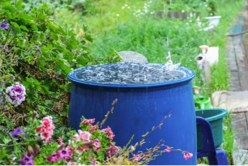 Rainwater harvesting 101: How to use rainwater at home