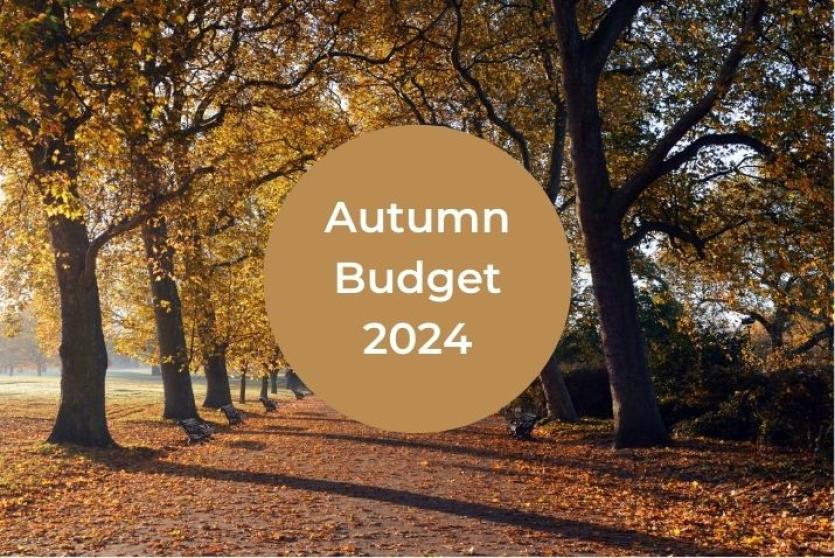 Autumn Budget 2024: Will everyone be a winner in the property world?